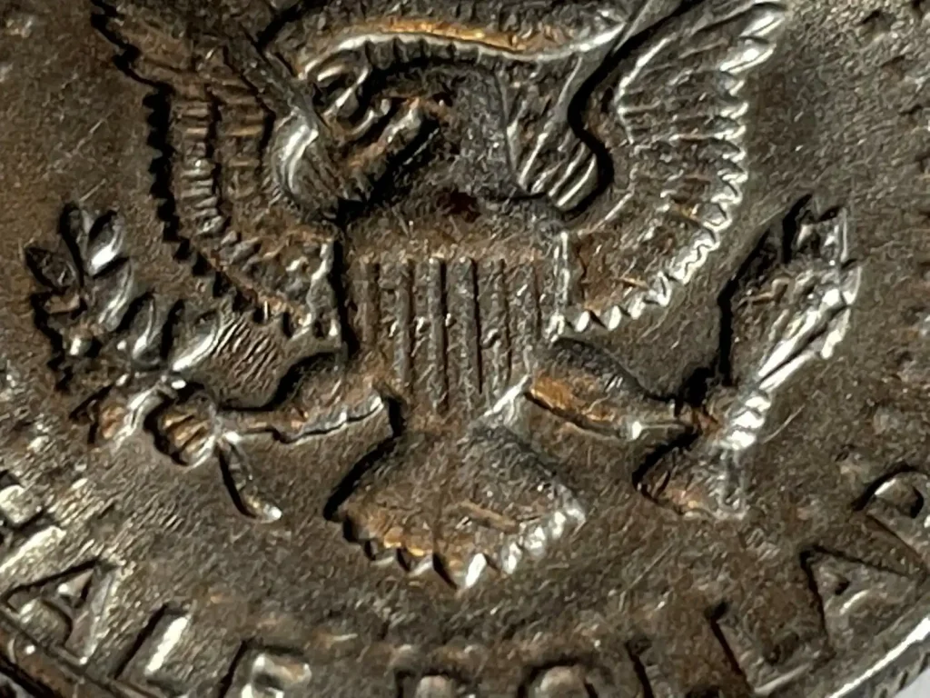 No FG hald dolllar (closer look).